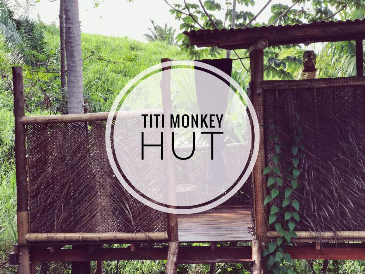 The Valley Tayrona Hostel- A Social Jungle Hostel El Zaino Exterior foto
