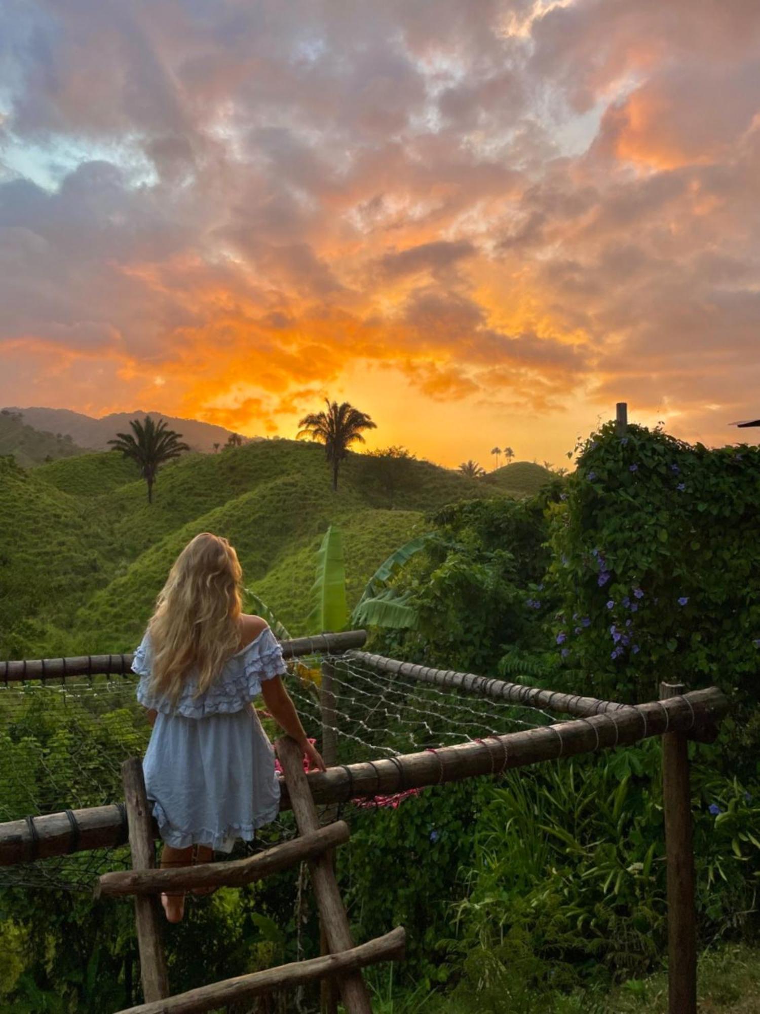 The Valley Tayrona Hostel- A Social Jungle Hostel El Zaino Exterior foto