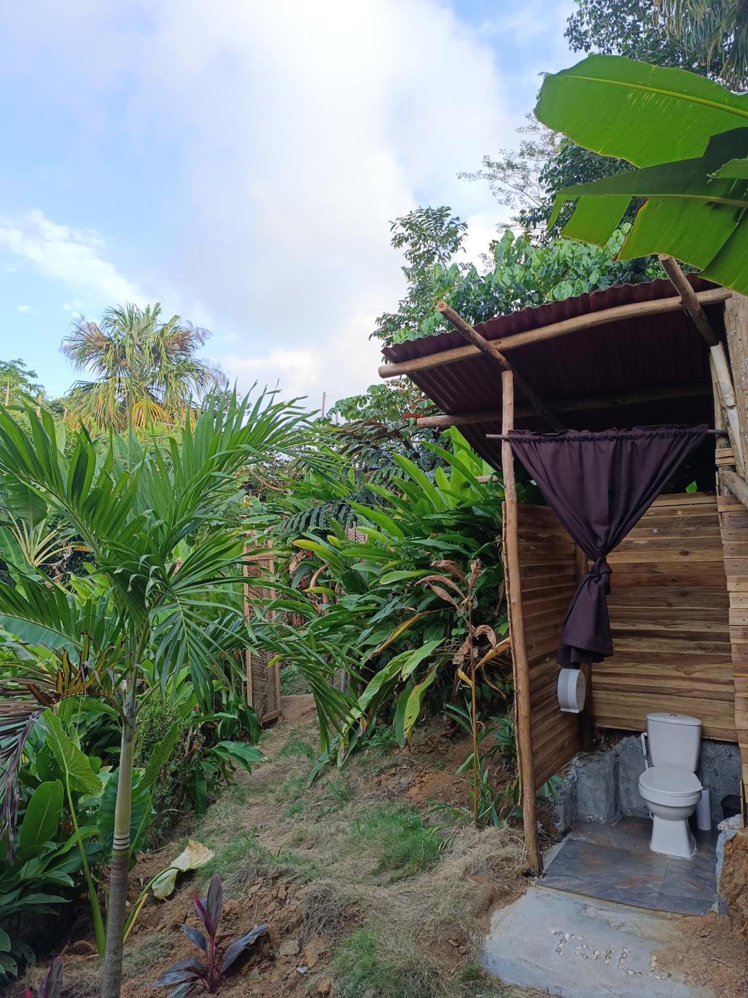 The Valley Tayrona Hostel- A Social Jungle Hostel El Zaino Exterior foto