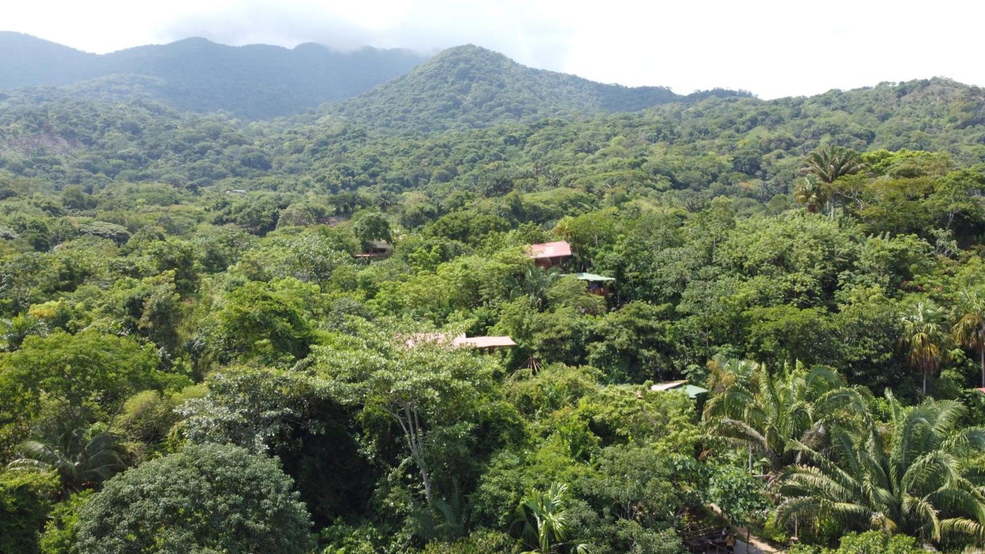 The Valley Tayrona Hostel- A Social Jungle Hostel El Zaino Exterior foto