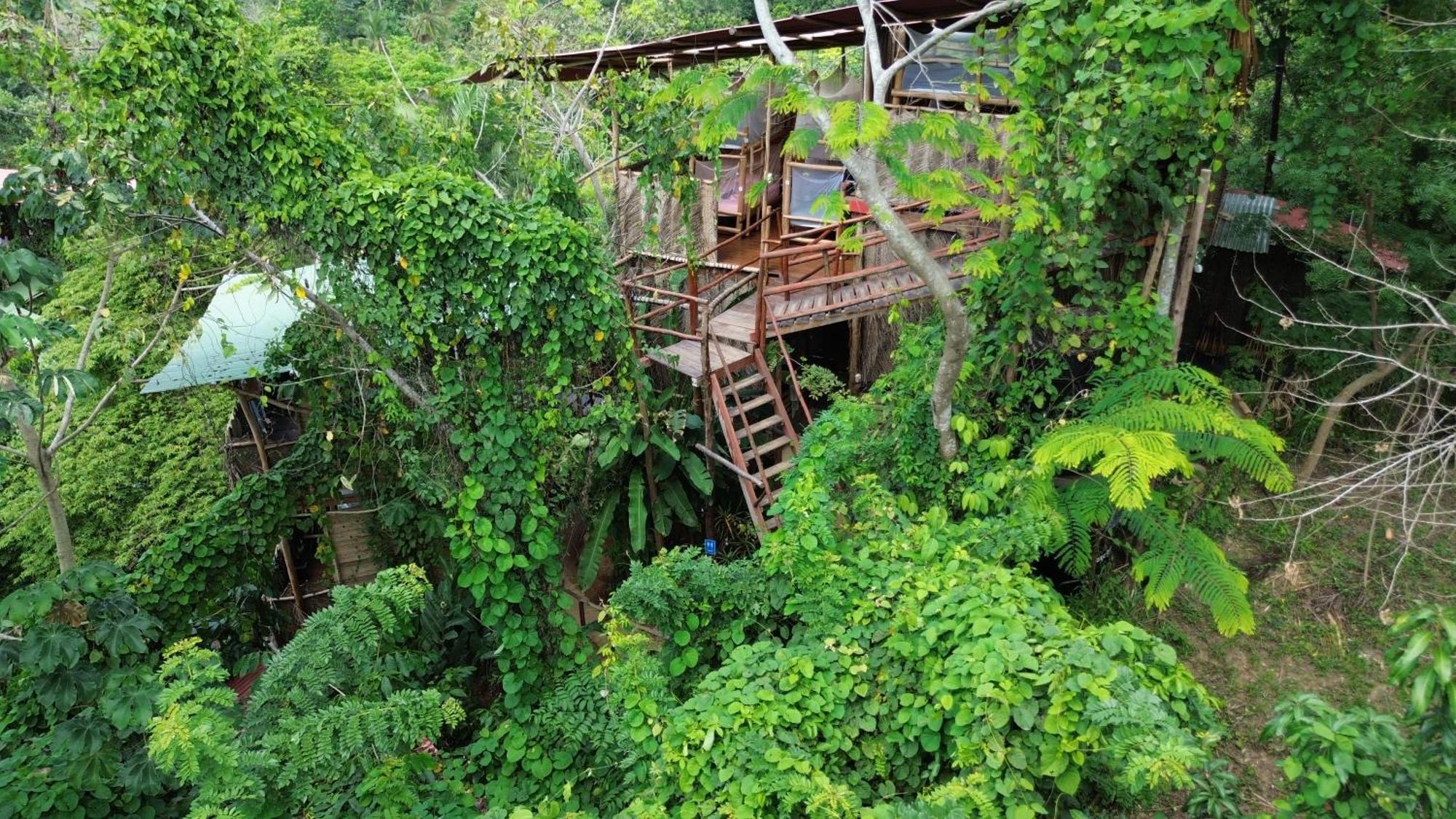 The Valley Tayrona Hostel- A Social Jungle Hostel El Zaino Exterior foto