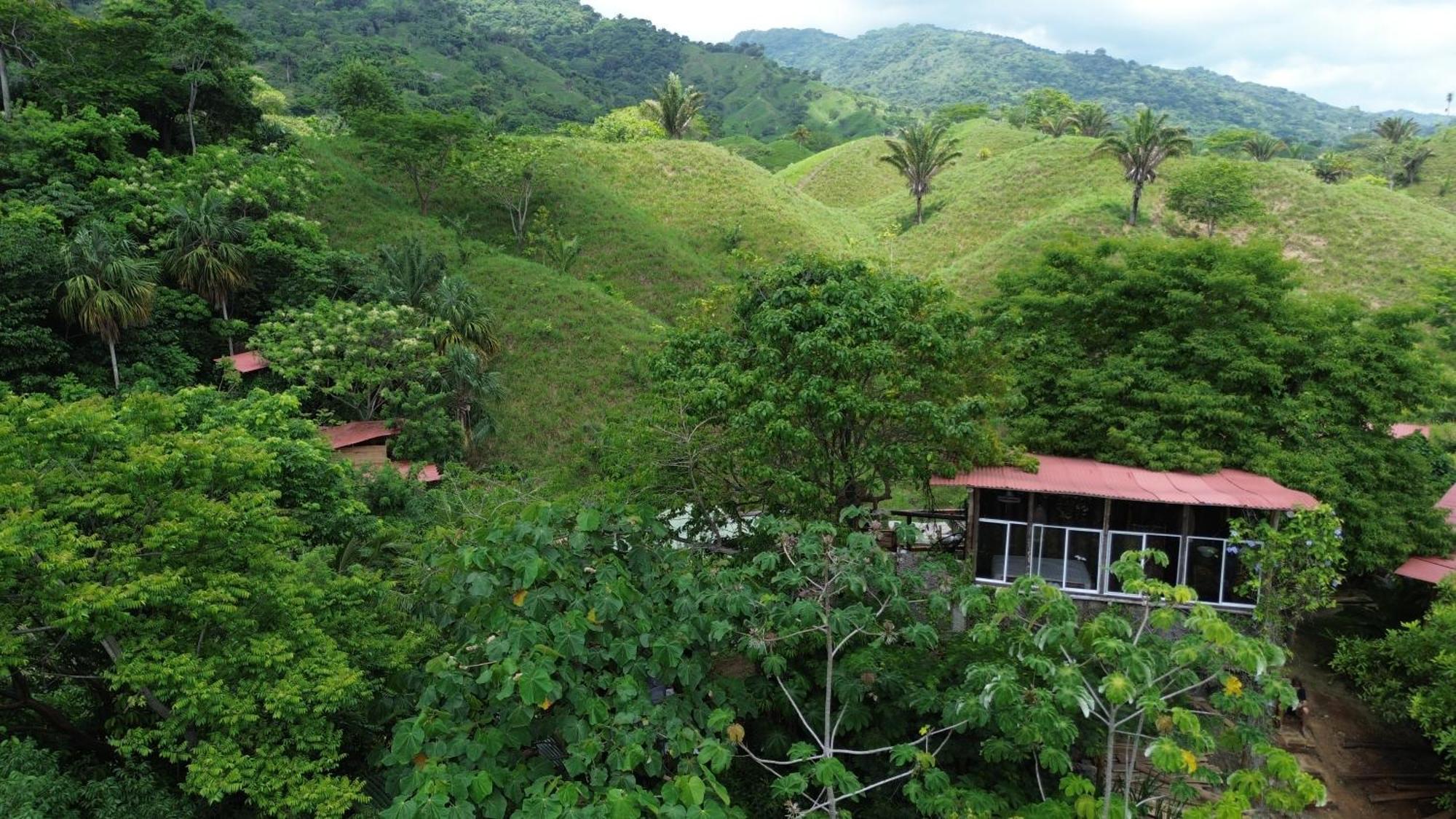 The Valley Tayrona Hostel- A Social Jungle Hostel El Zaino Exterior foto