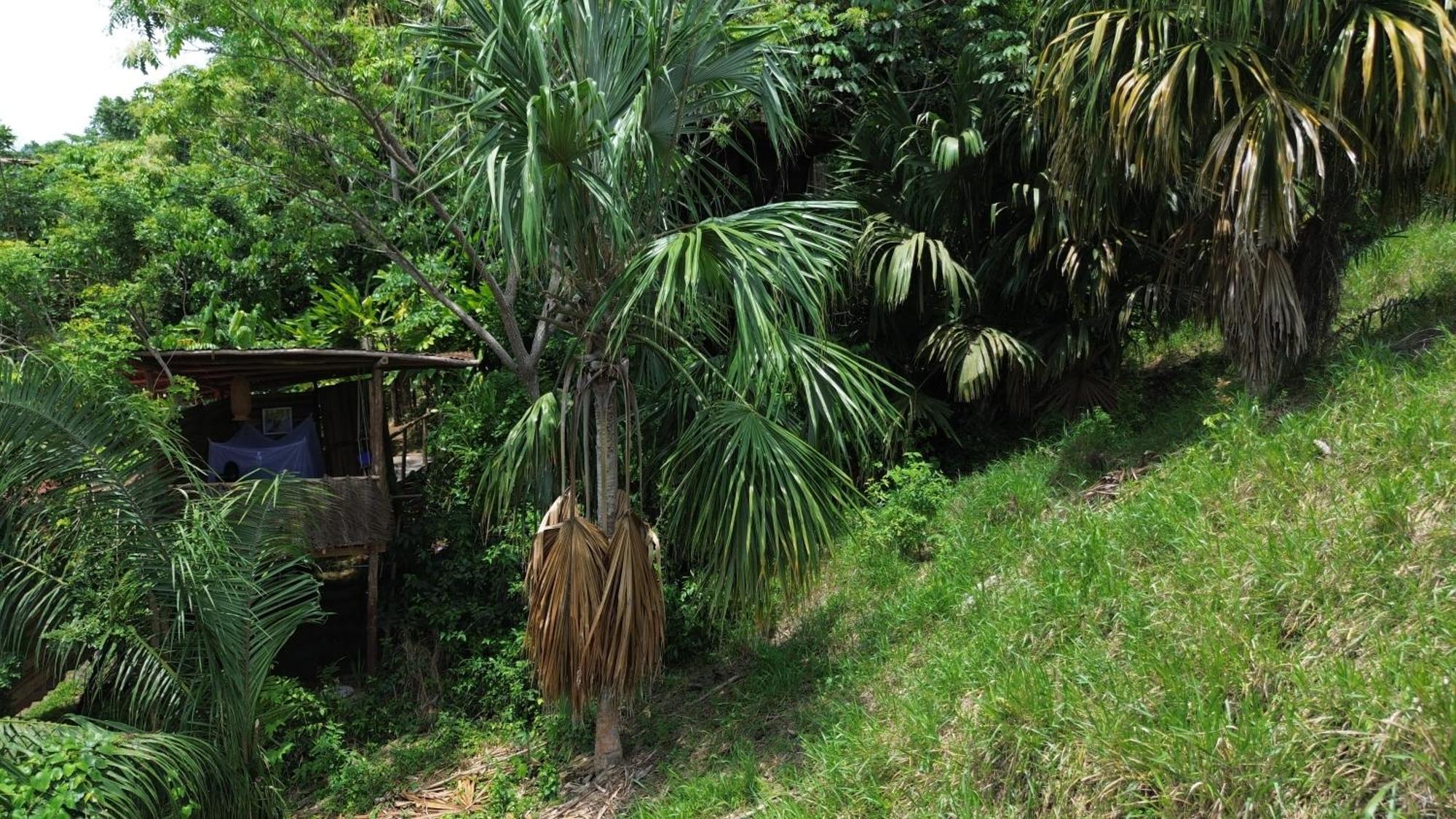 The Valley Tayrona Hostel- A Social Jungle Hostel El Zaino Exterior foto